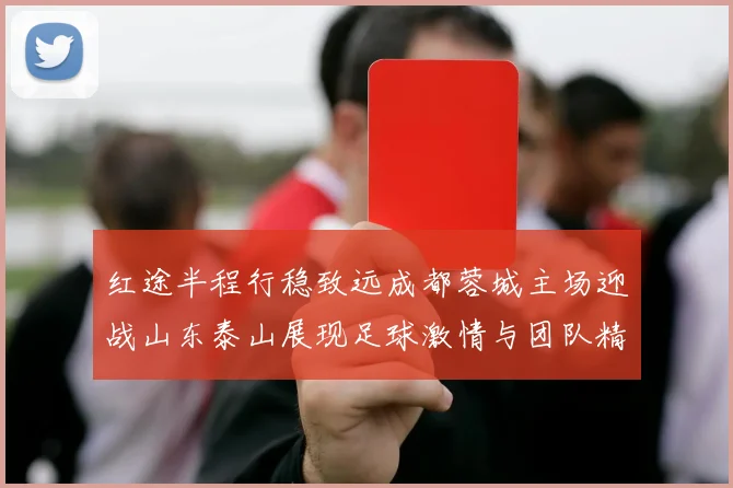 红途半程行稳致远成都蓉城主场迎战山东泰山展现足球激情与团队精神